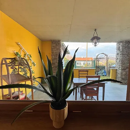 Perla Del
